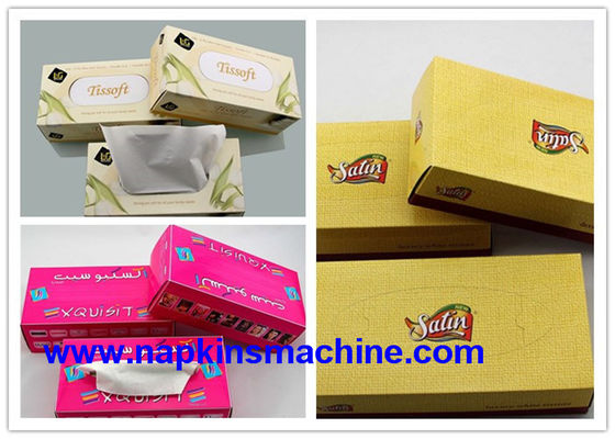 Empaquetadora del tejido de 60 cartones/del lacre del minuto 5.1KW