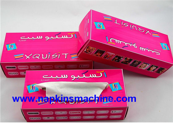 Empaquetadora del tejido de 60 cartones/del lacre del minuto 5.1KW