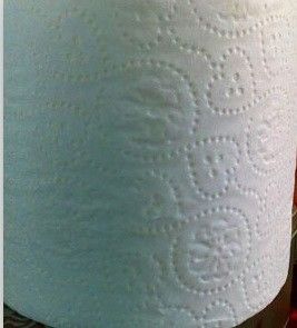 máquina que raja de 200 m/Min Embossed Jumbo Roll Paper