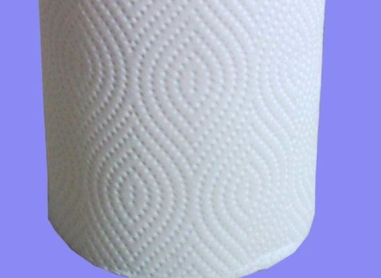 Empaquetadora de 120 Rolls/del rollo de retrete la monofásico del minuto 380V